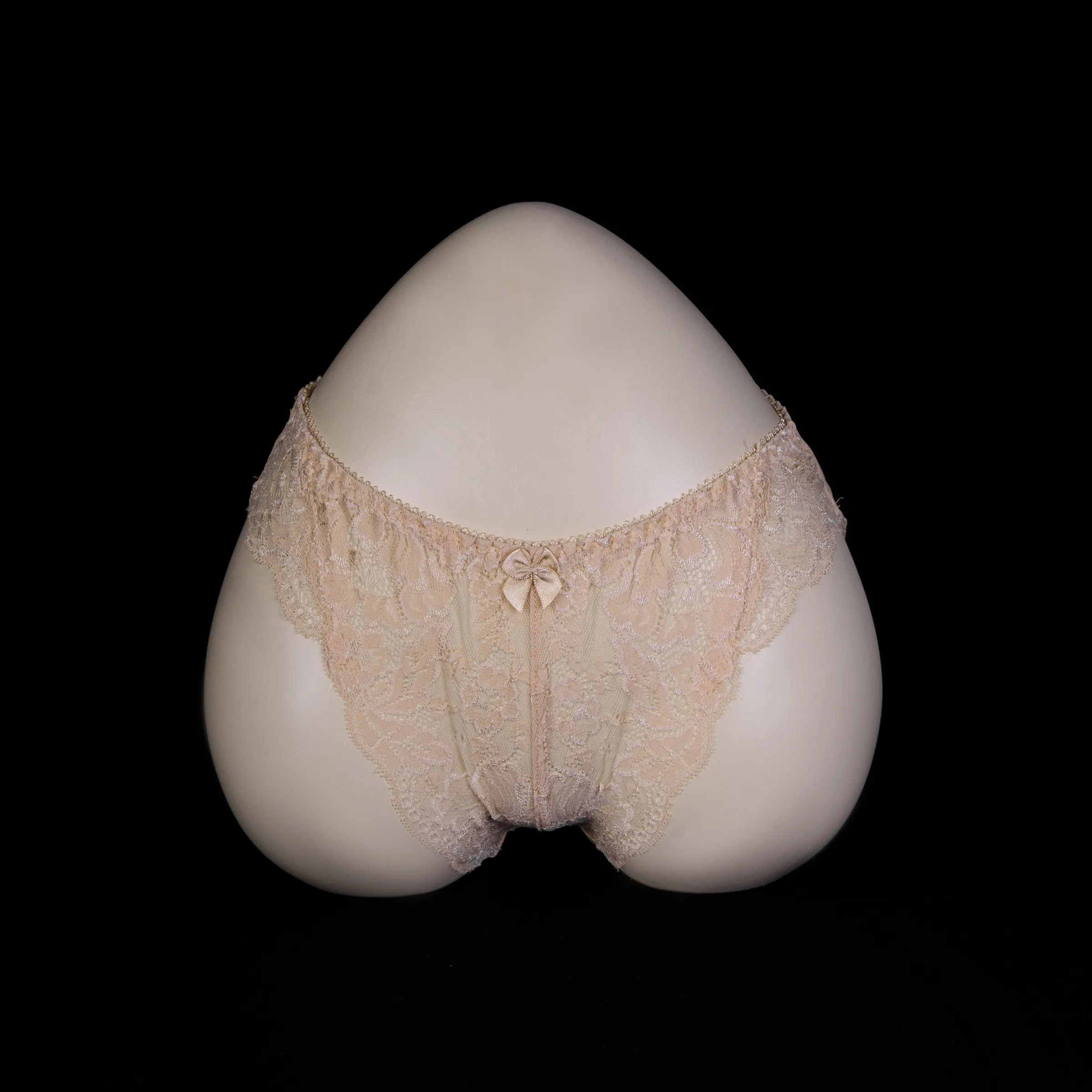 Flourish Lace Net Panty