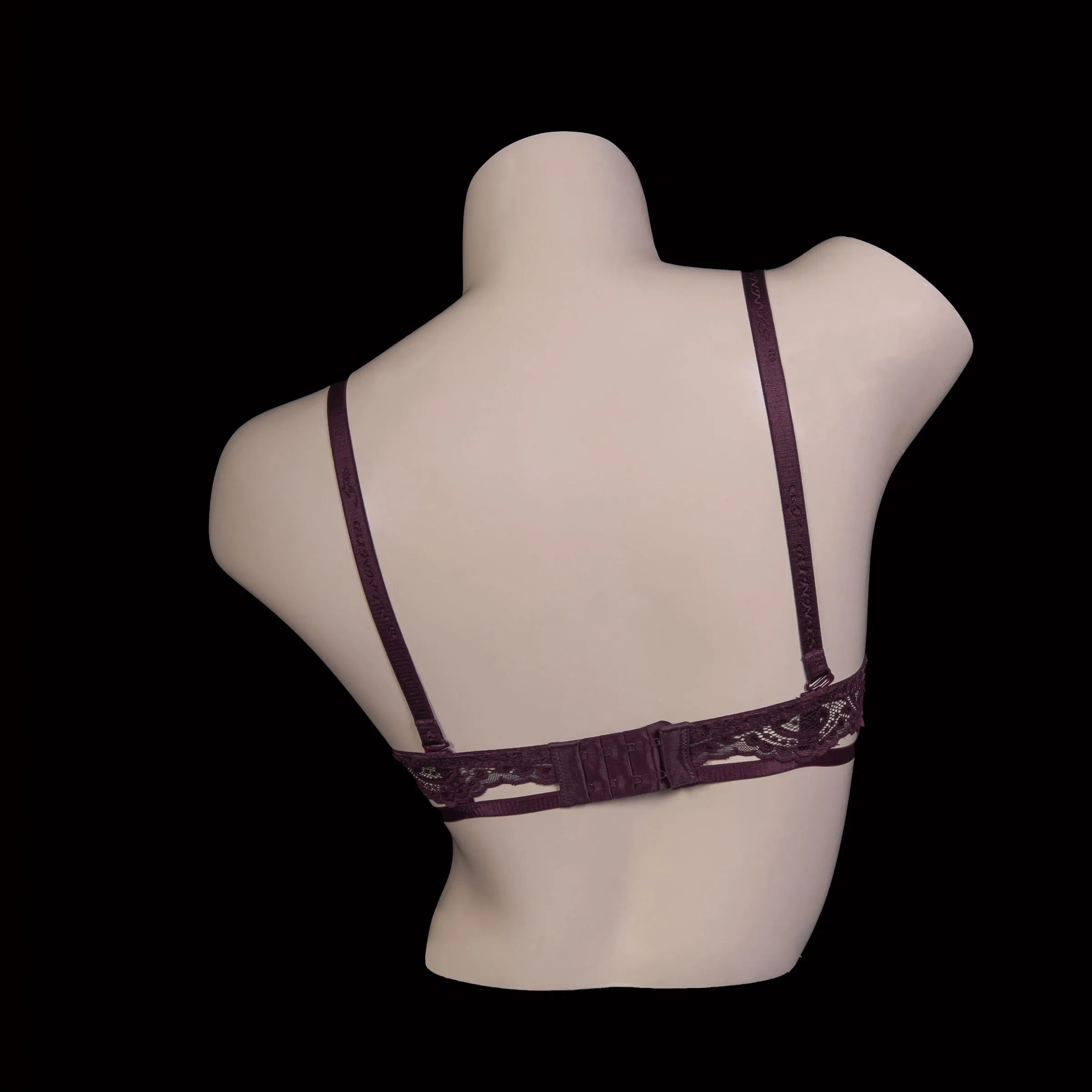 Padded Wired Lace Bra