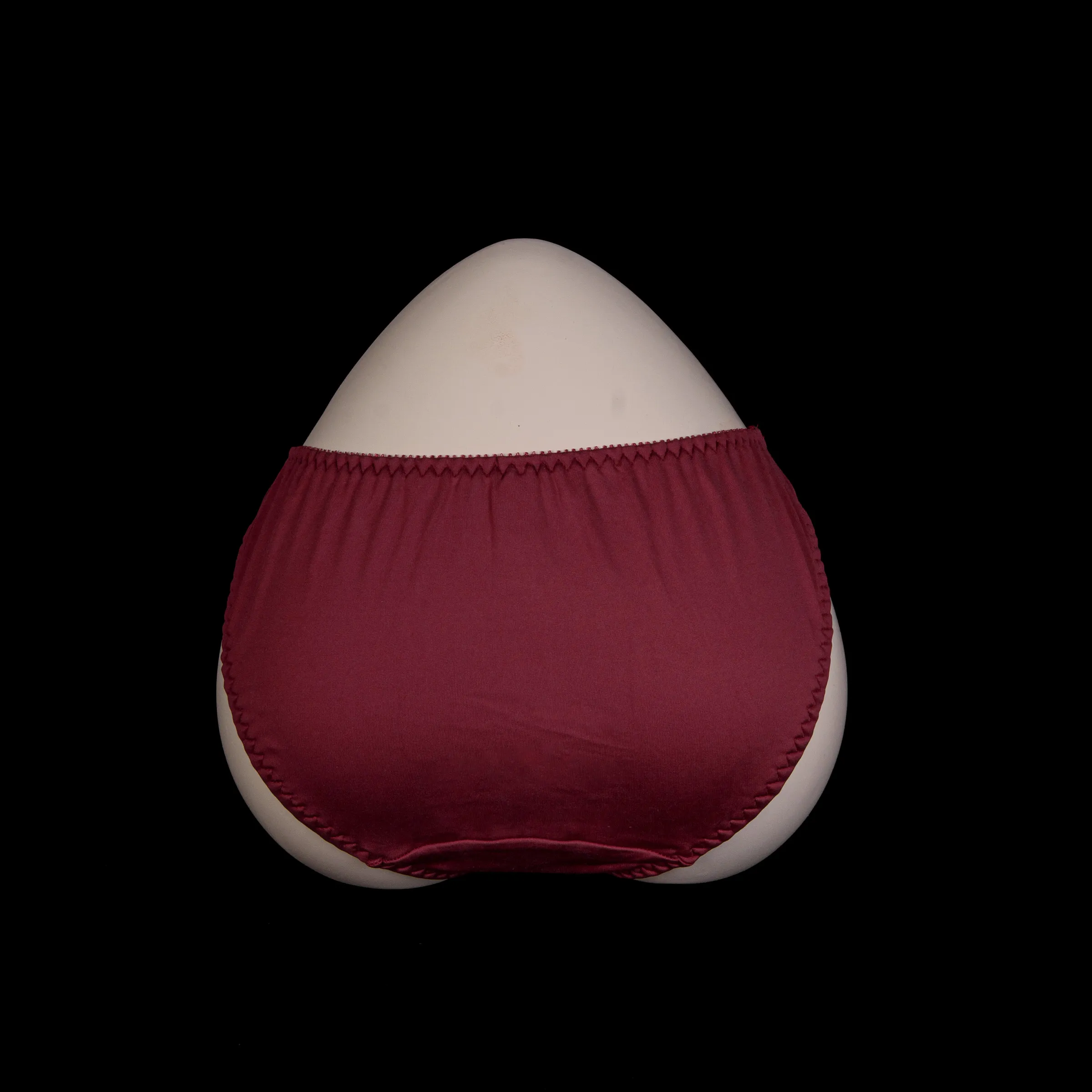 Flourish Lace Net Panty