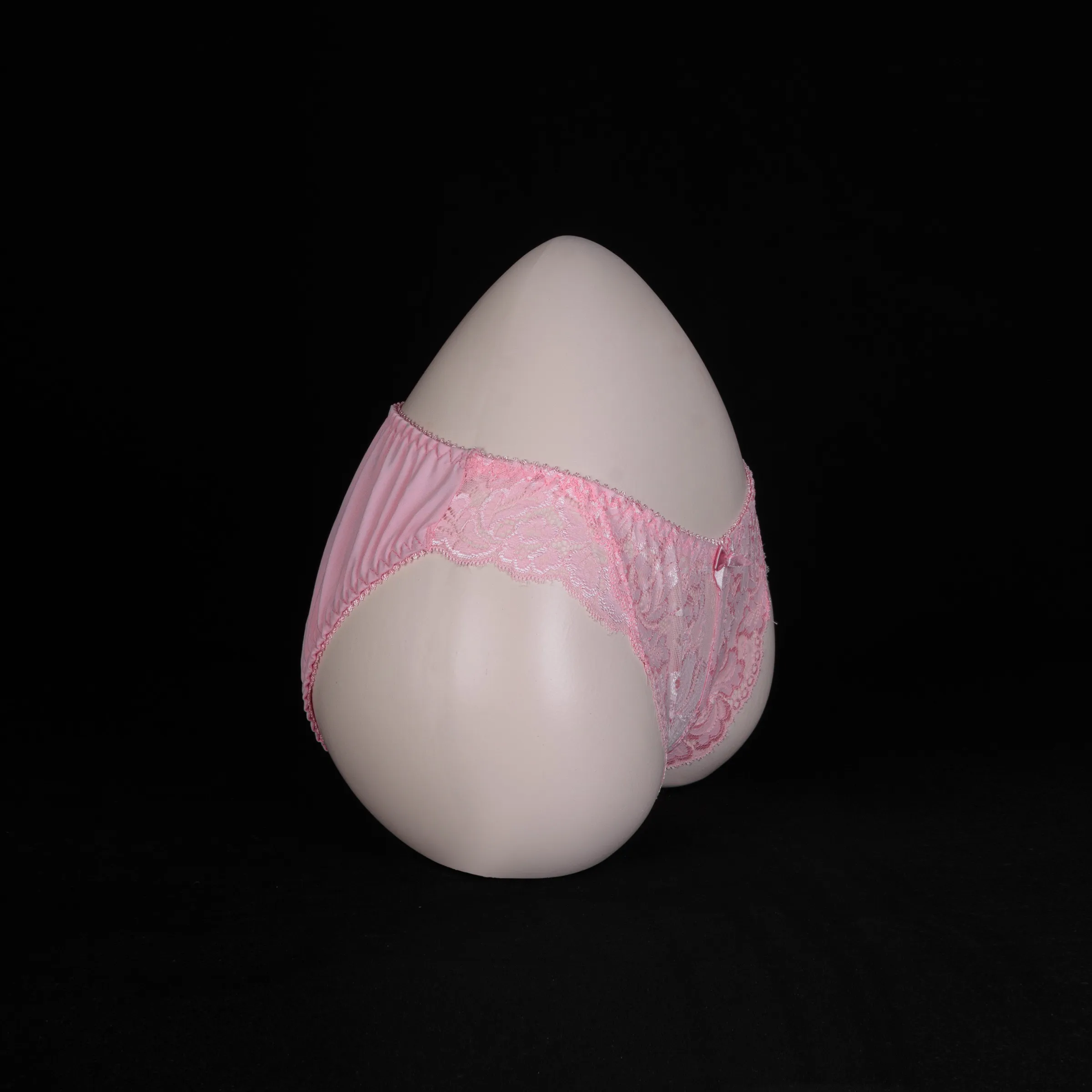 Flourish Lace Net Panty