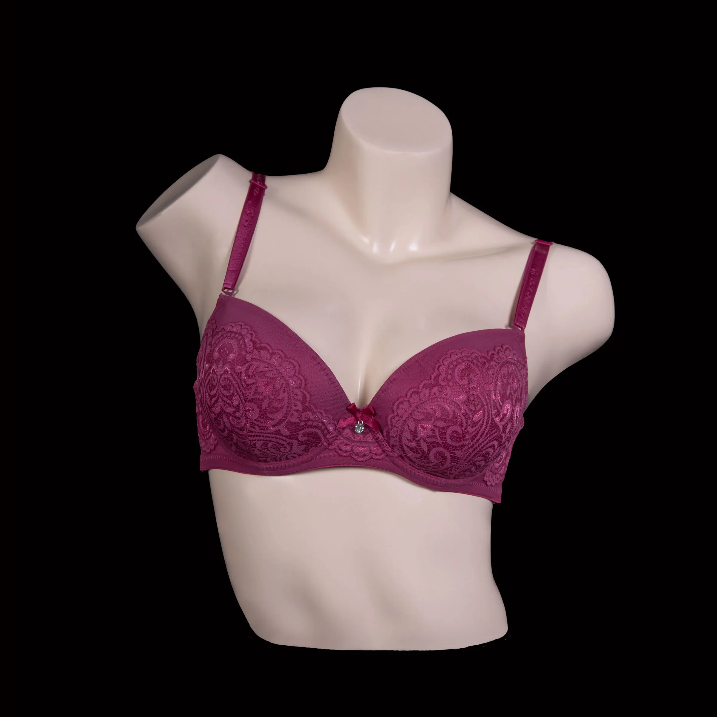 Padded Wired Lace Bra