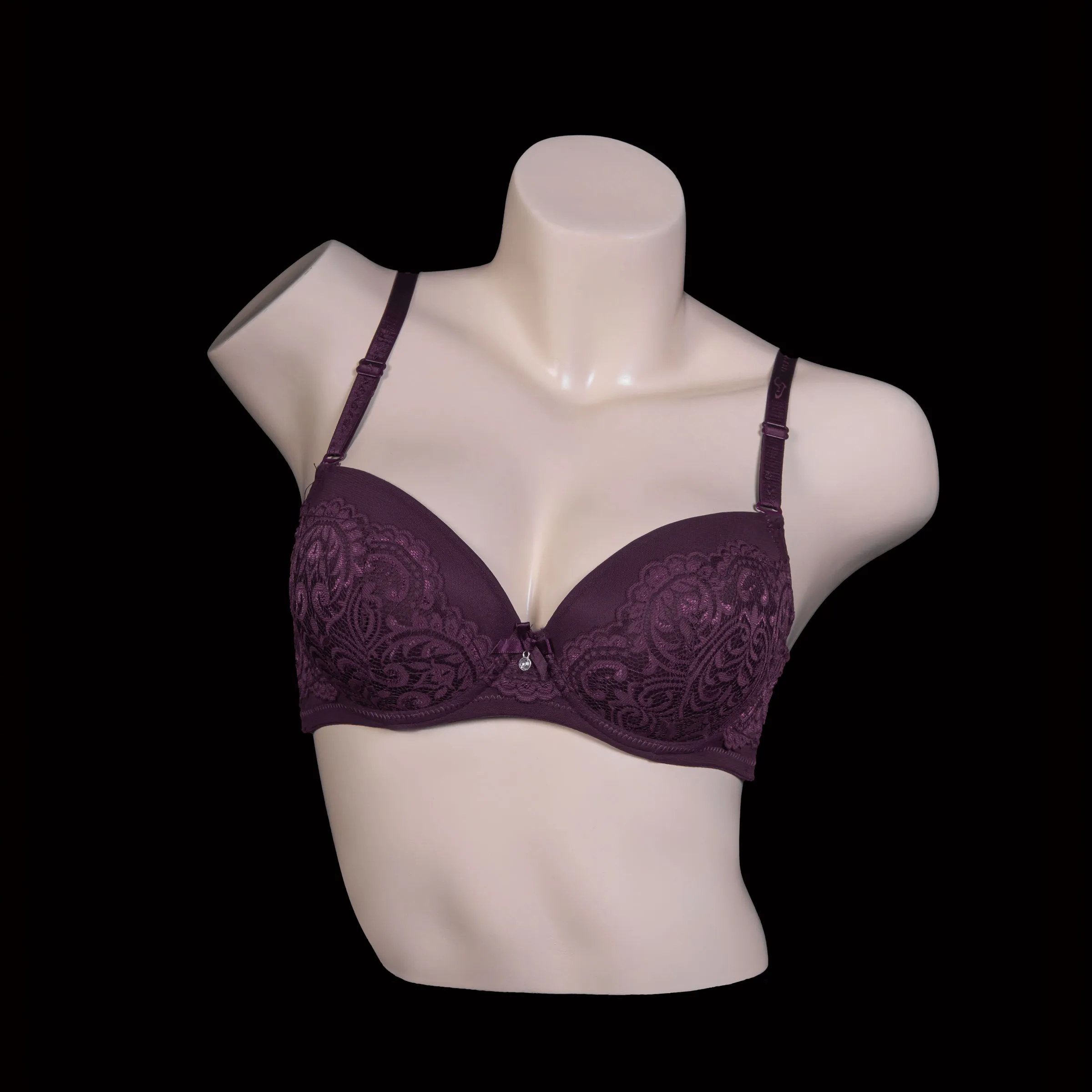 Padded Wired Lace Bra