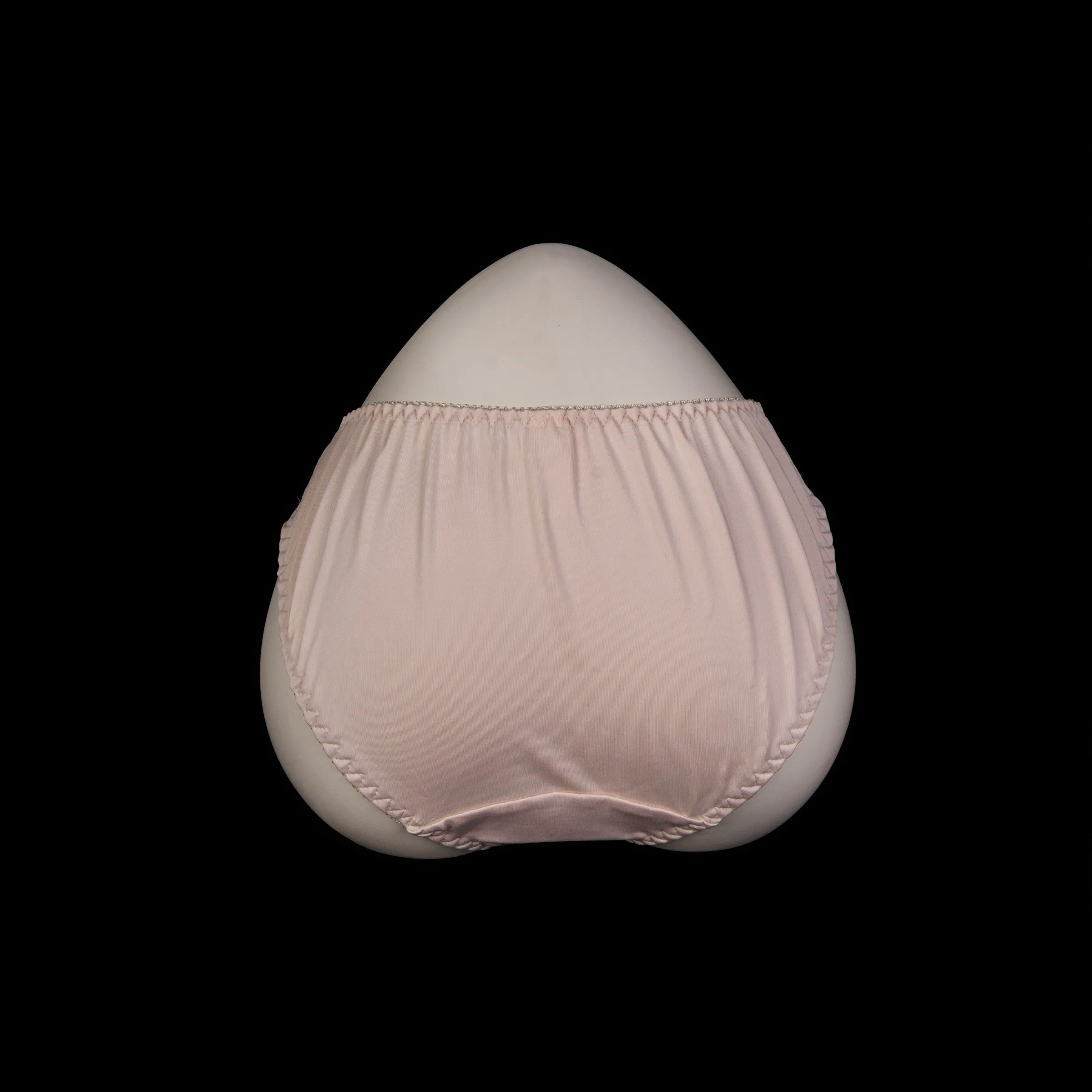 Flourish Lace Net Panty