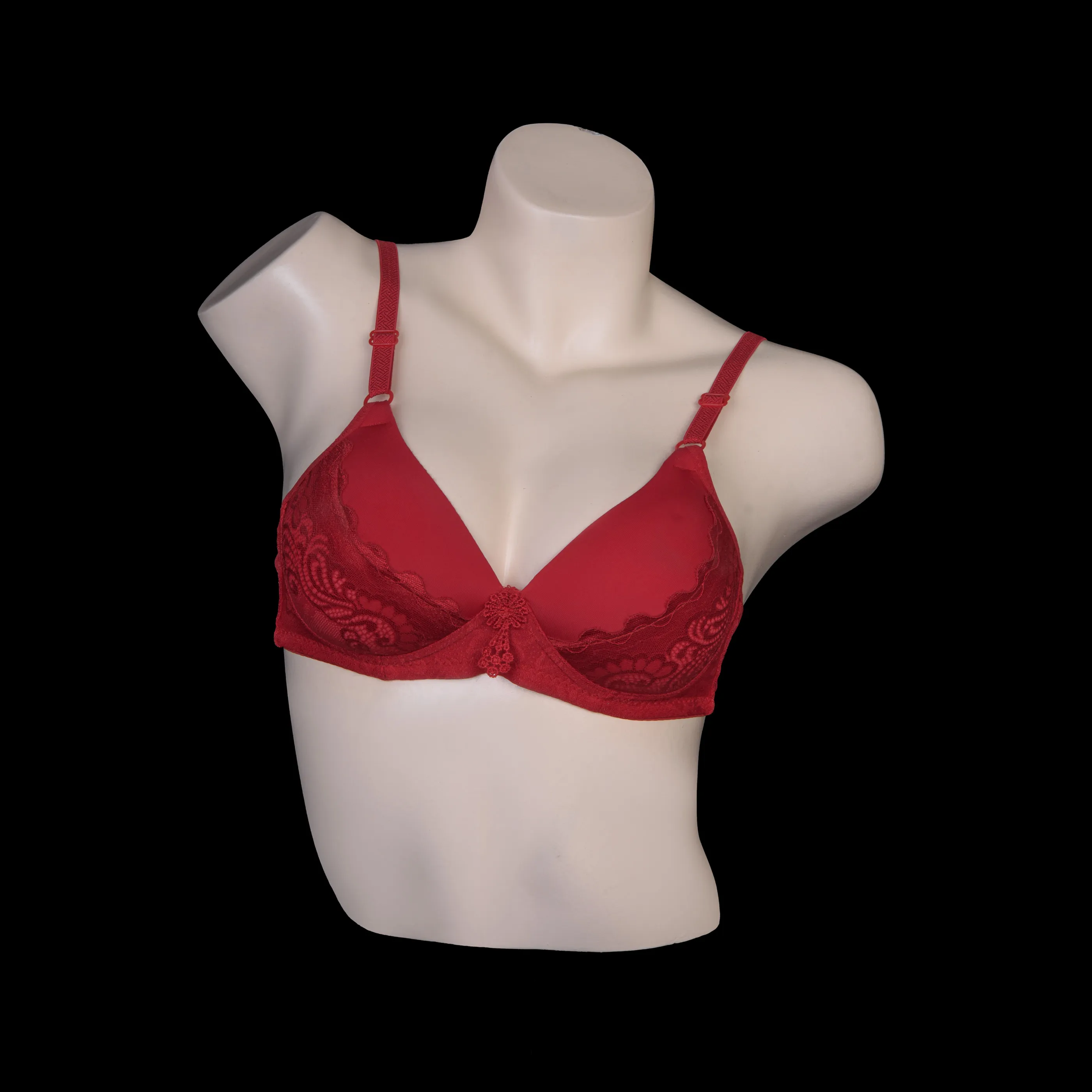 Full Cup Padded Bra 11