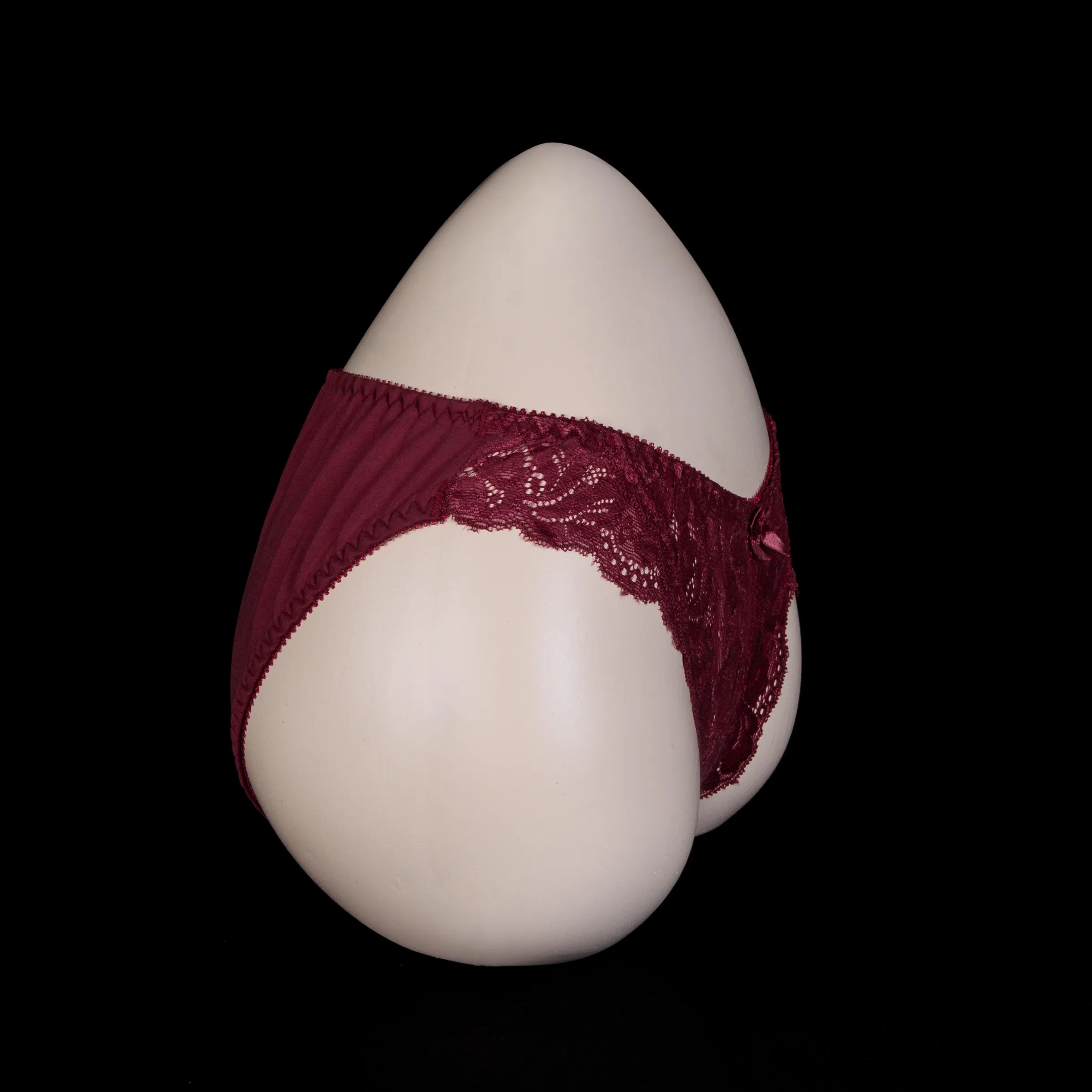 Flourish Lace Net Panty