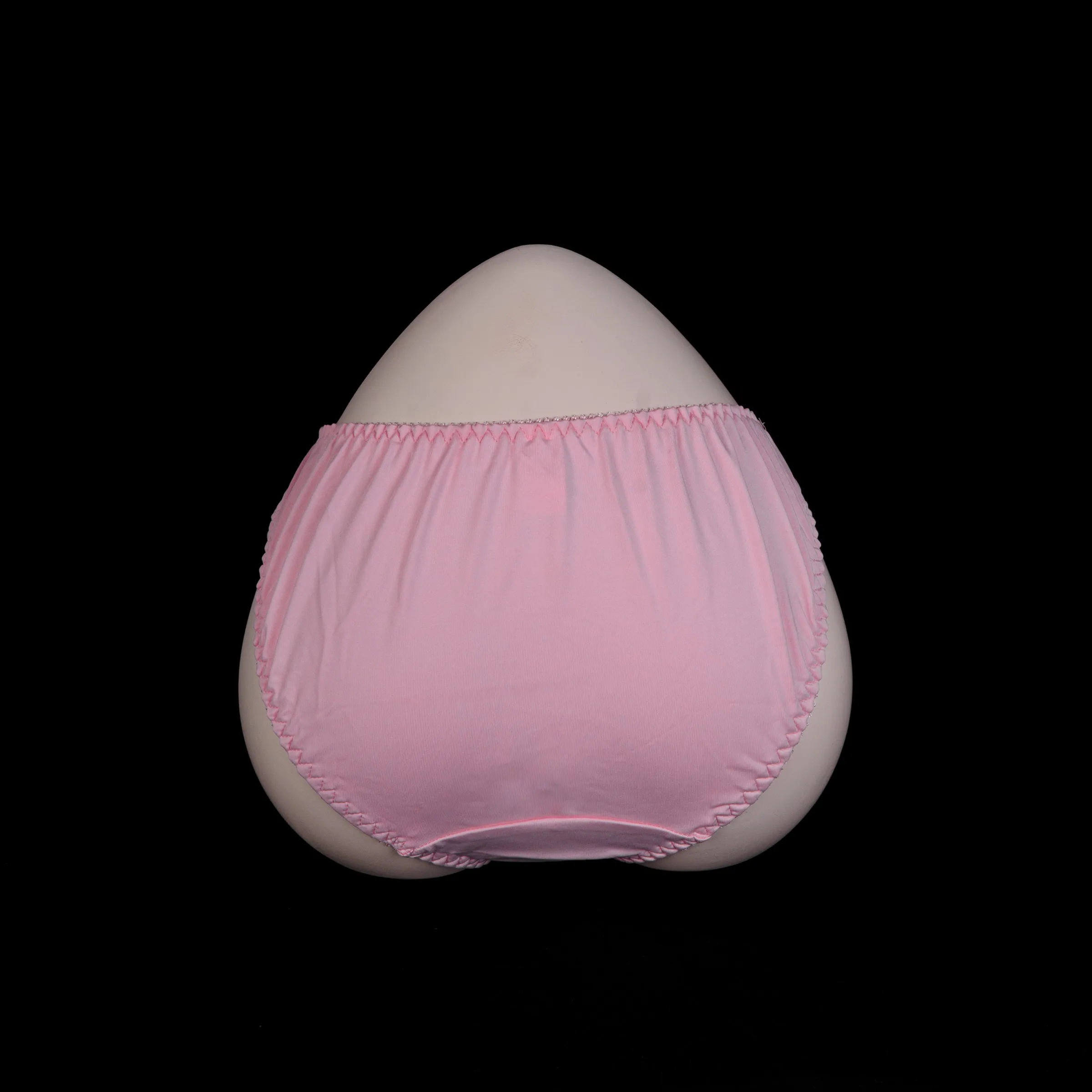 Flourish Lace Net Panty