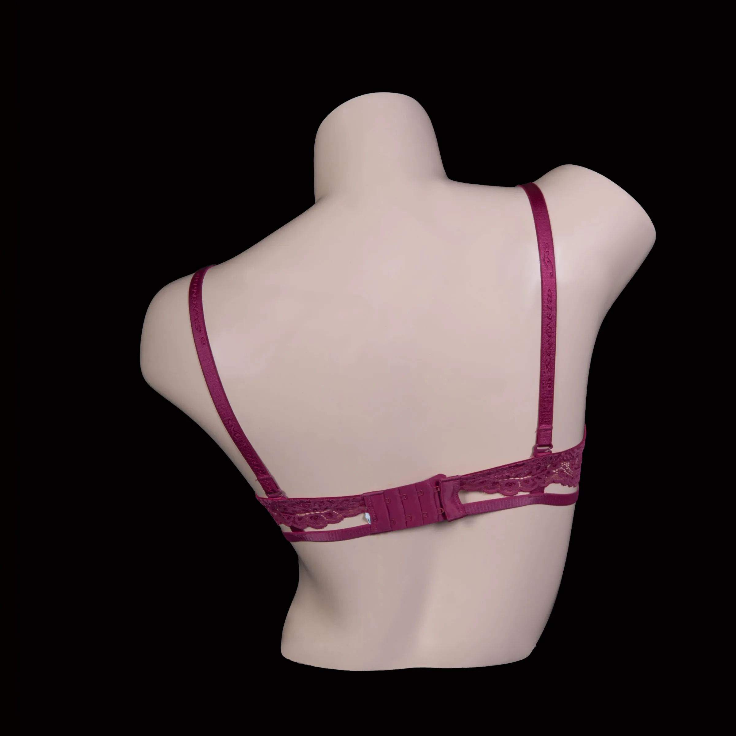 Padded Wired Lace Bra