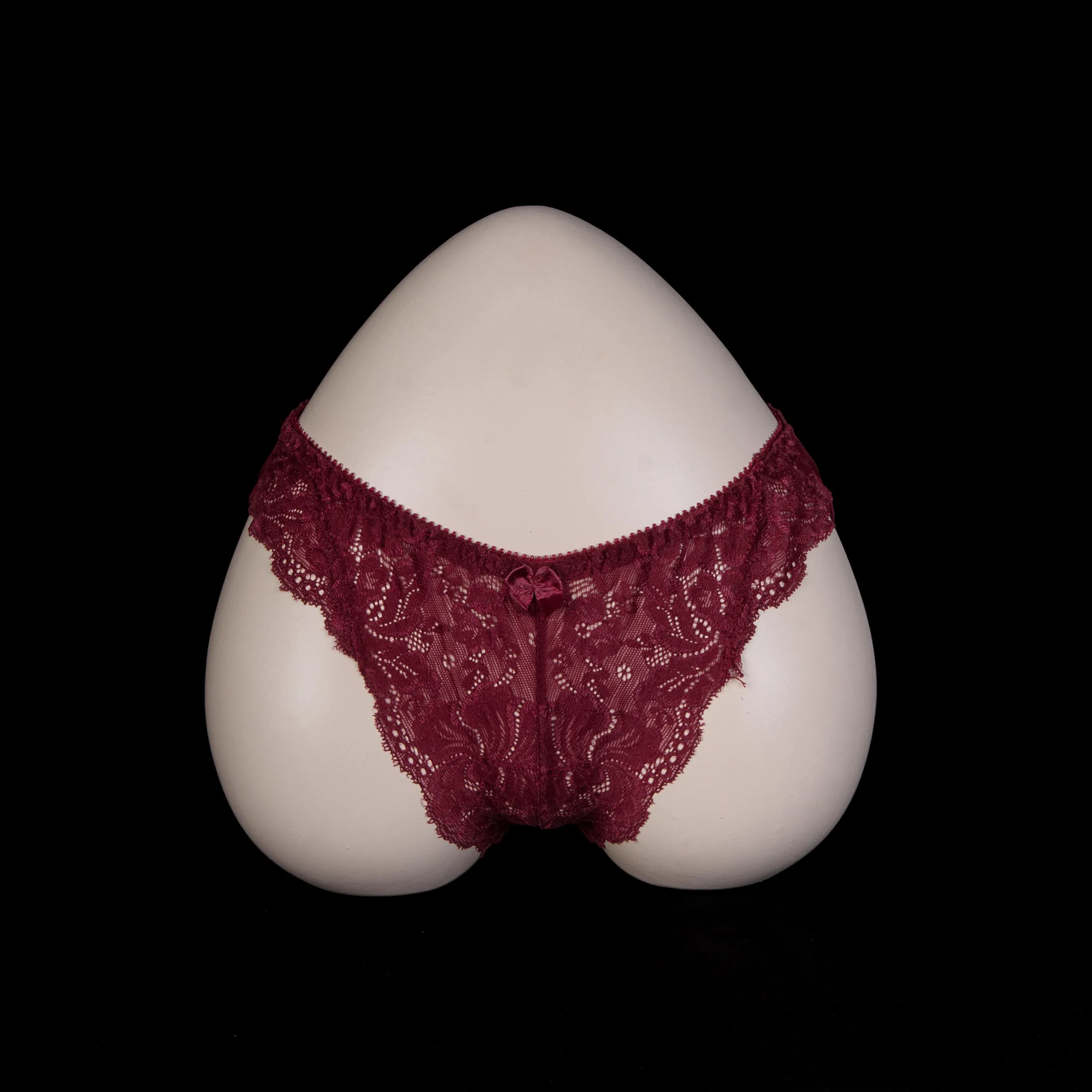 Flourish Lace Net Panty