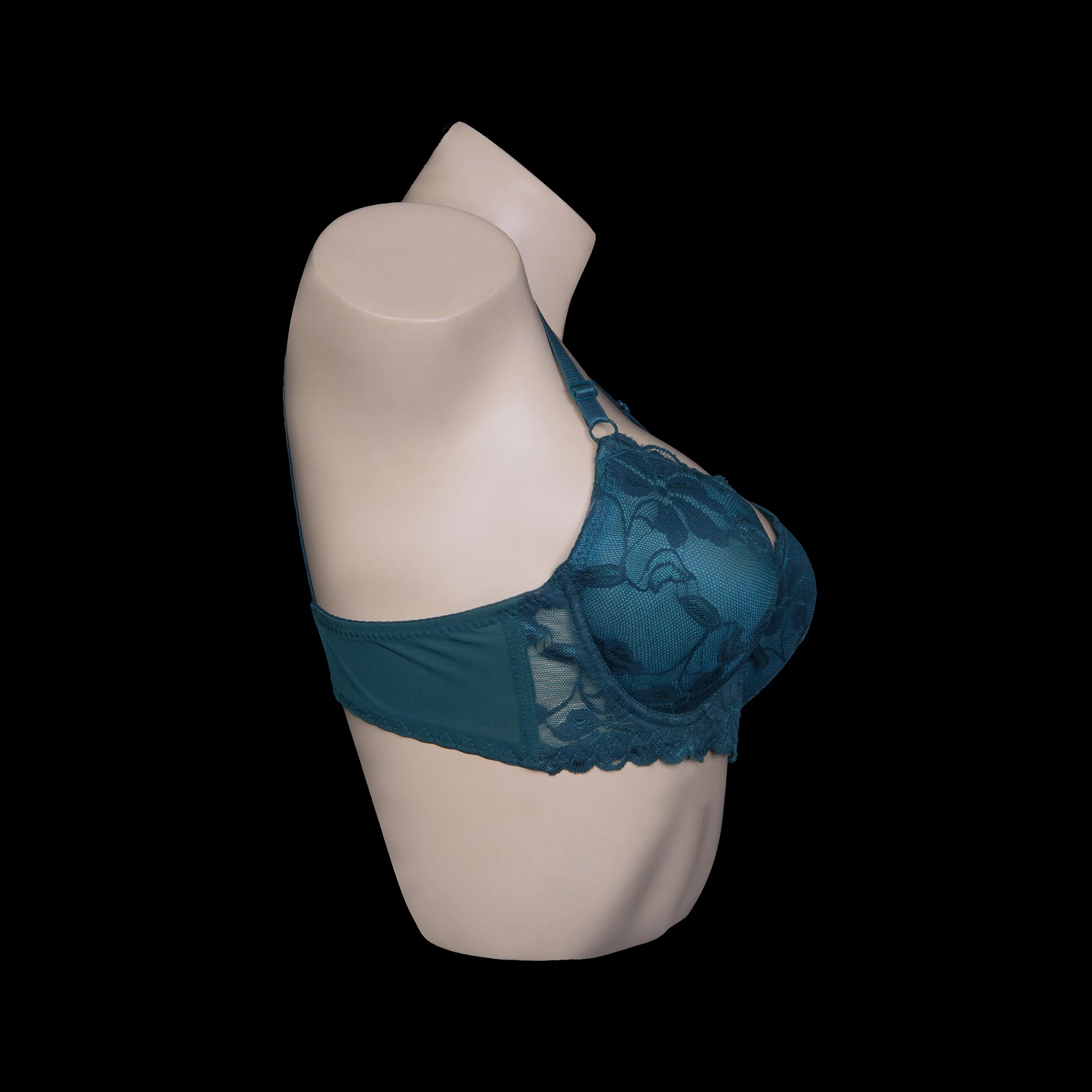 Full Coverage Net Bra 1