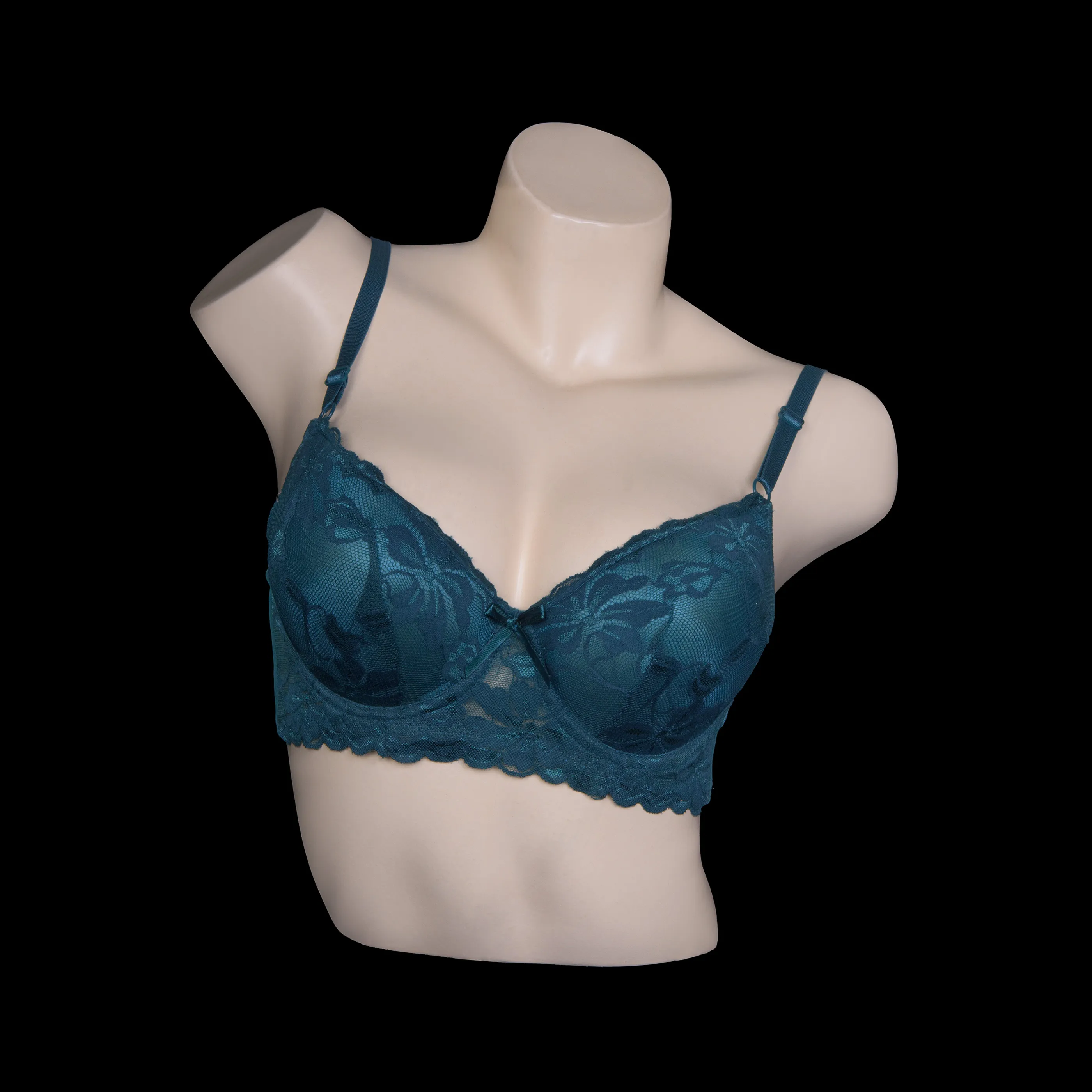 Full Coverage Net Bra 1