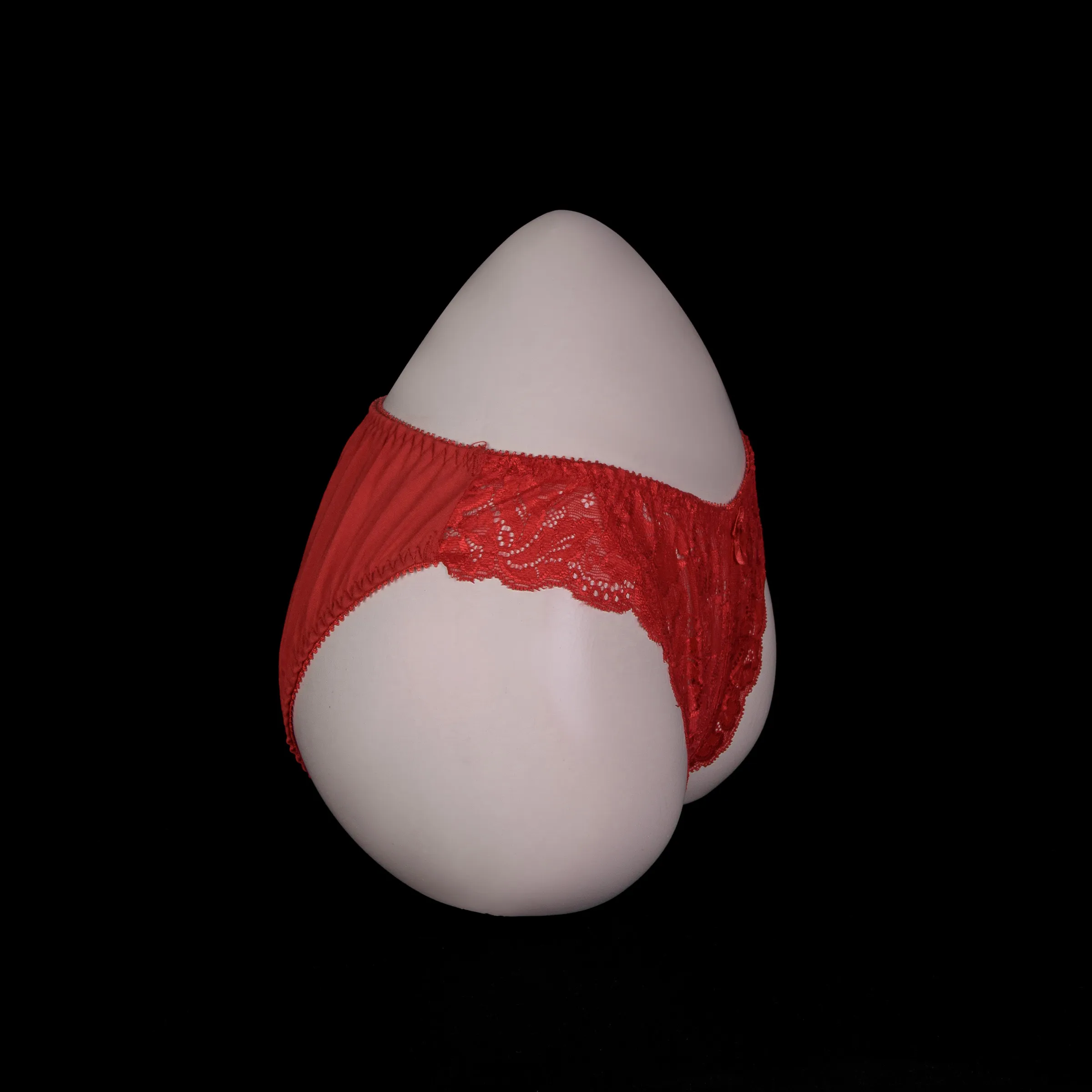 Flourish Lace Net Panty