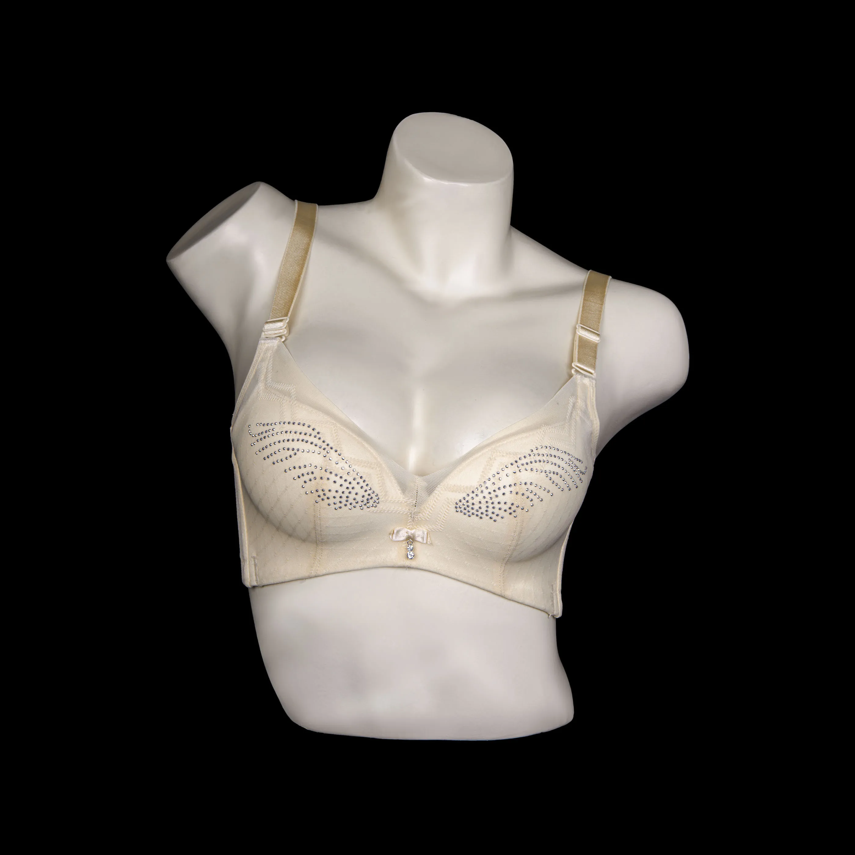 Full Cup Padded Bra 2