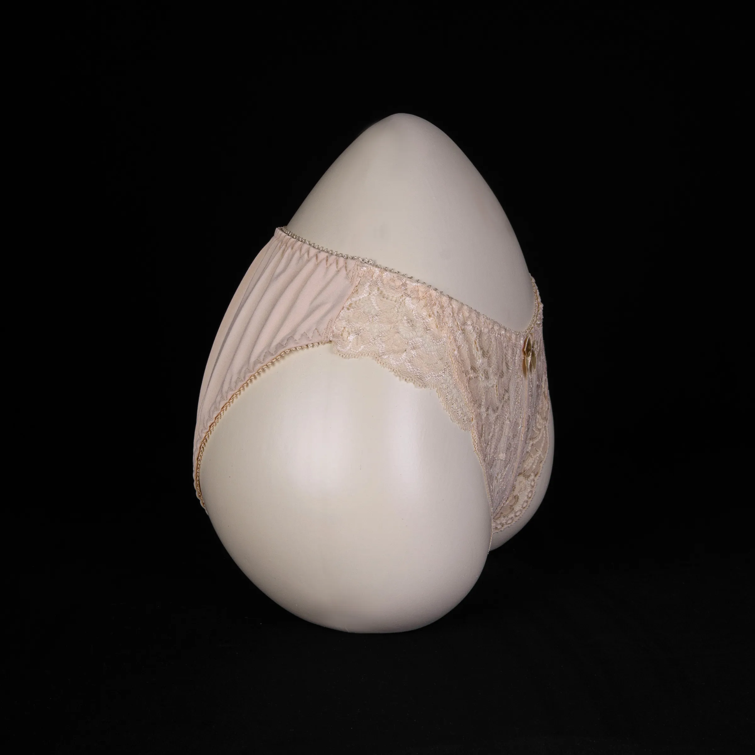 Flourish Lace Net Panty