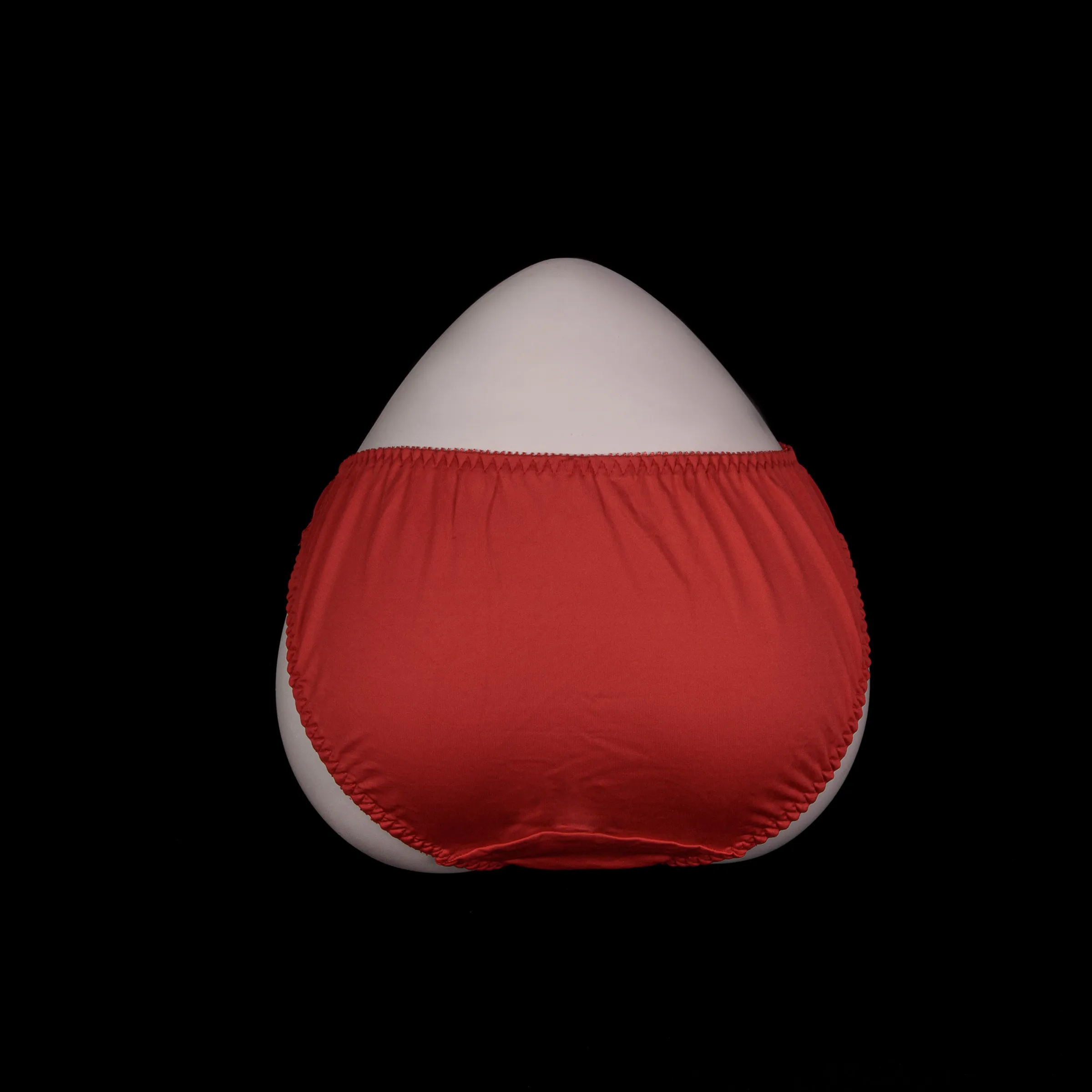 Flourish Lace Net Panty