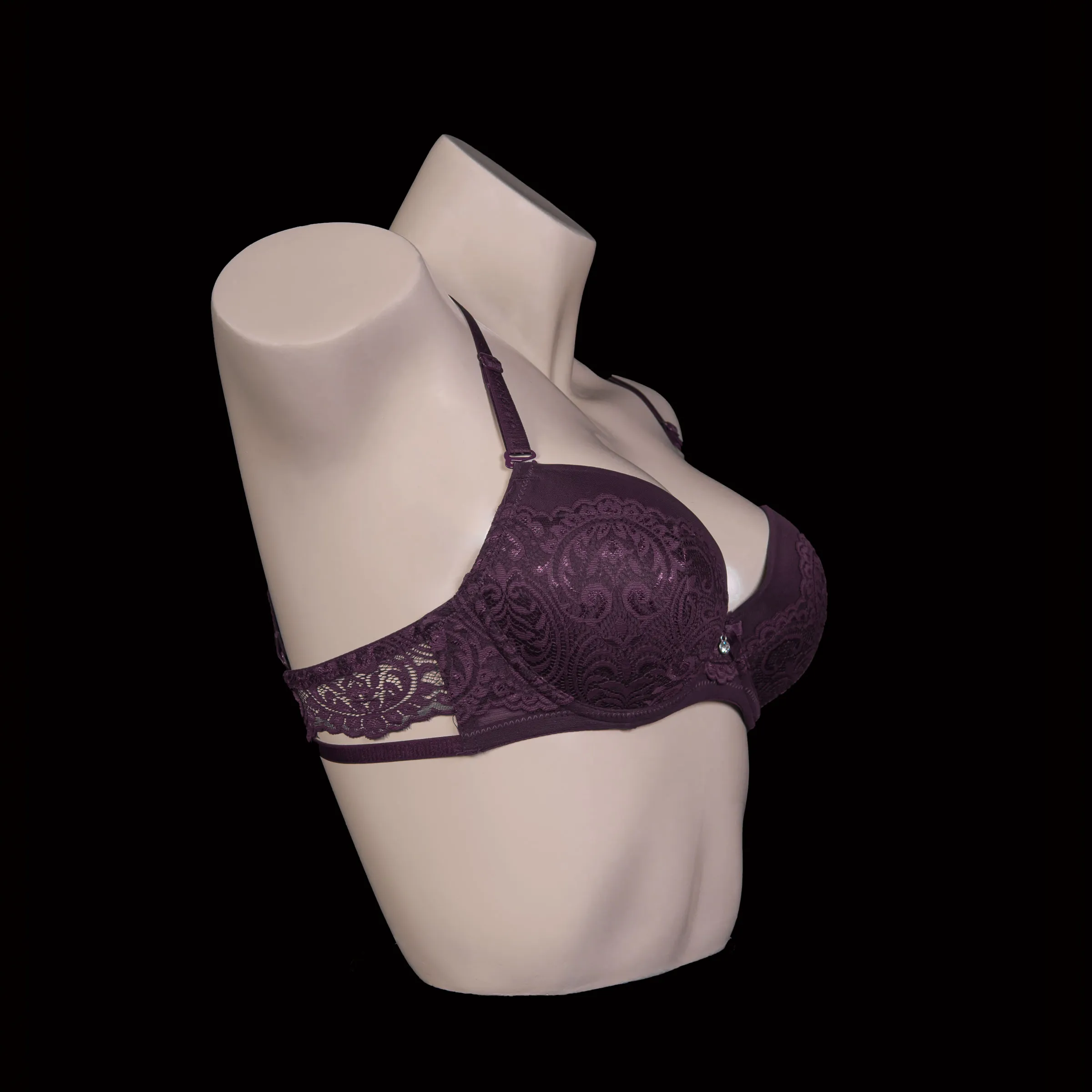 Padded Wired Lace Bra