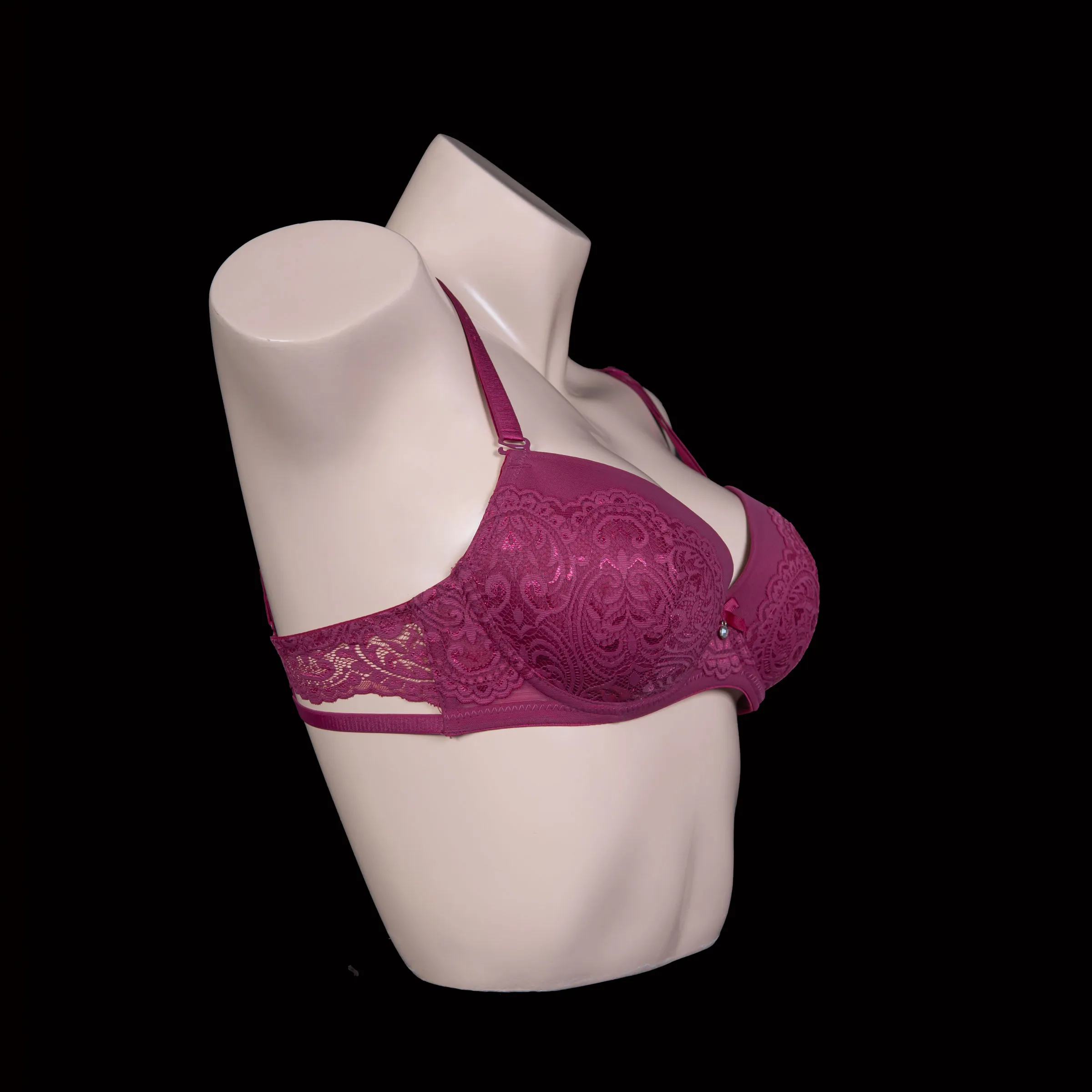 Padded Wired Lace Bra