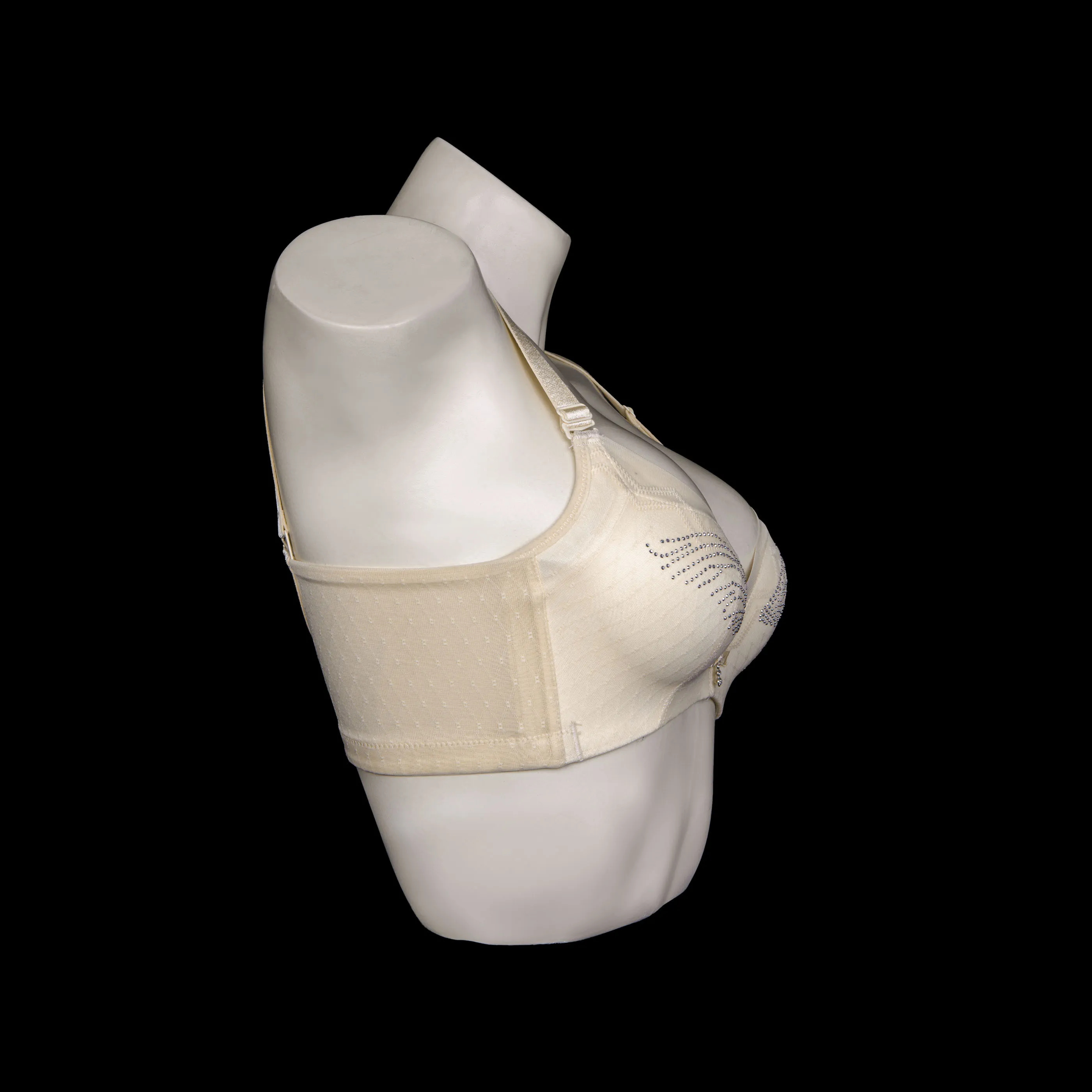 Full Cup Padded Bra 2